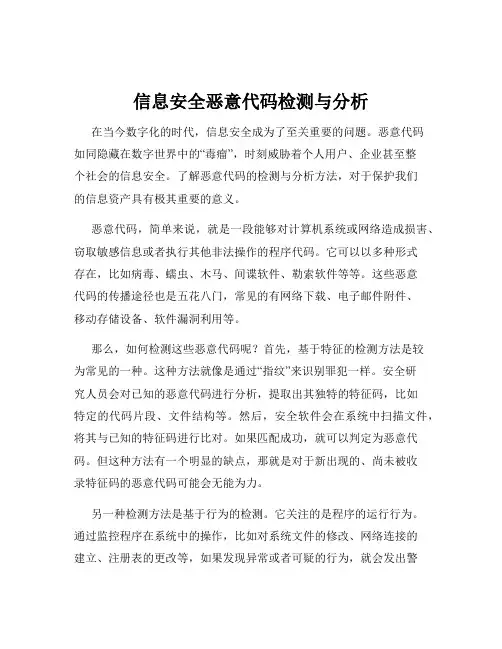 信息安全恶意代码检测与分析