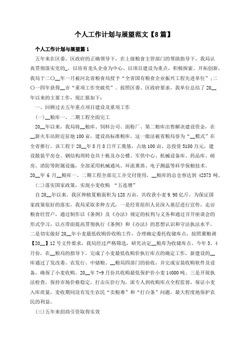 个人工作计划与展望范文【8篇】