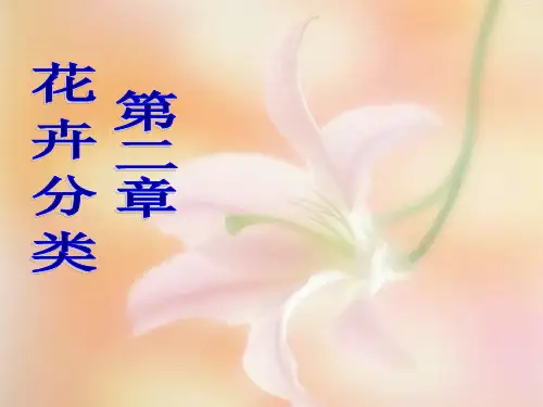 第2章花卉分类