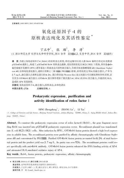 氧化还原因子-1 的原核表达纯化及其活性鉴定