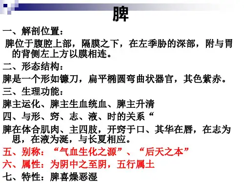 脾