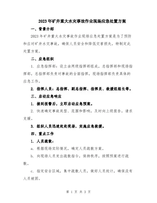 2023年矿井重大水灾事故作业现场应急处置方案
