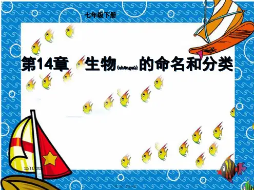 七年级生物下册《生物的命名和分类》
