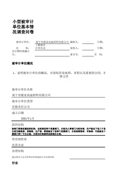 计划阶段审计工作底稿 (2)
