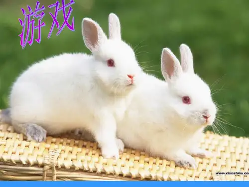 苏教版音乐二上《音乐游戏：丢手绢》课件2