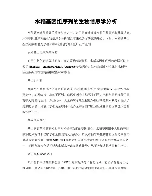 水稻基因组序列的生物信息学分析