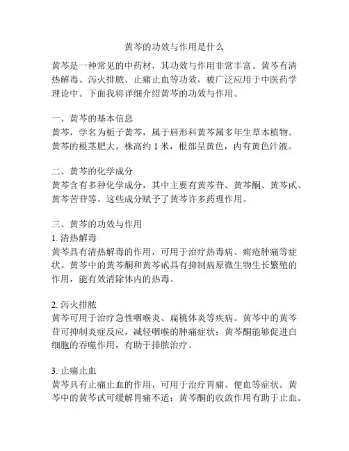 黄芩的功效与作用是什么