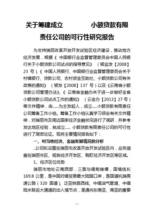 3    设立小额贷款公司的可行性分析