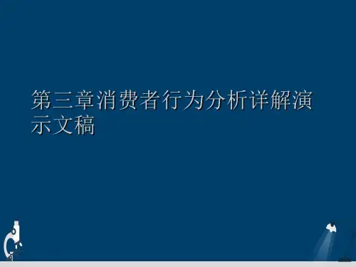 第三章消费者行为分析详解演示文稿