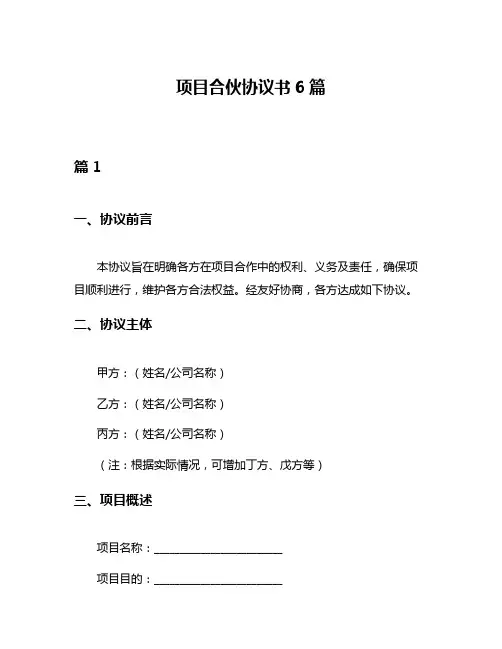 项目合伙协议书6篇