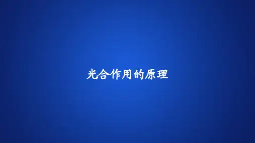 高中生物(新教材)课件《光合作用的原理》