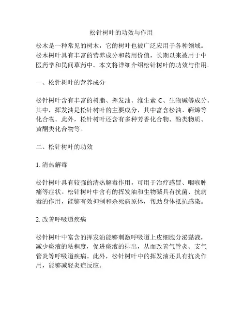松针树叶的功效与作用