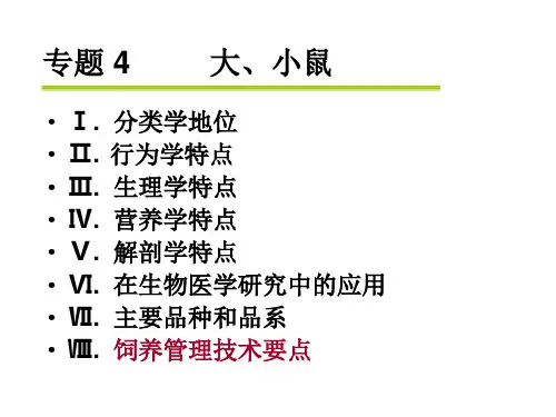 大小鼠解剖生理特点.