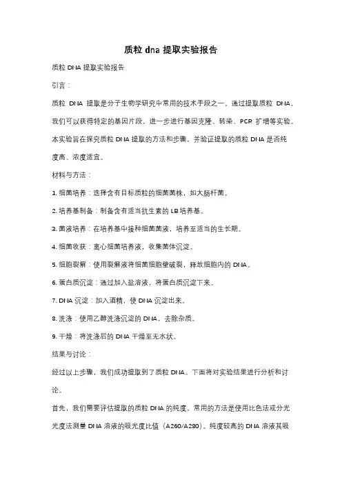 质粒dna提取实验报告