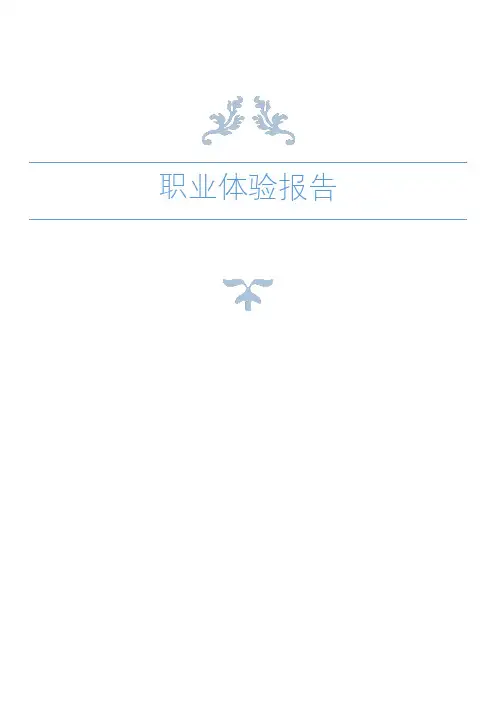 职业体验报告