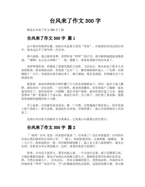 台风来了作文300字