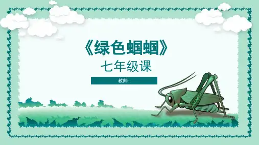 七年级绿色蝈蝈PPT课件