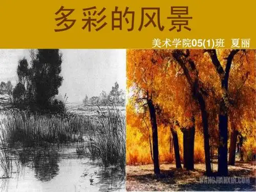 多彩的风景