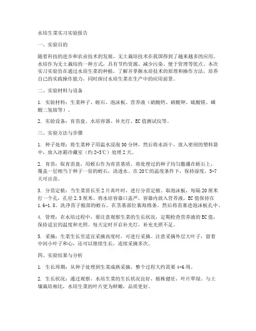 水培生菜实习实验报告