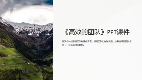 《高效的团队》课件