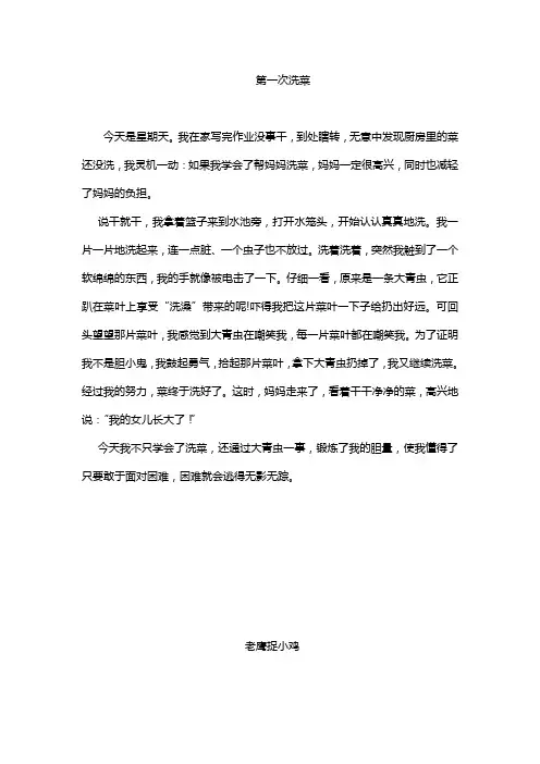 小学作文  第一次洗菜
