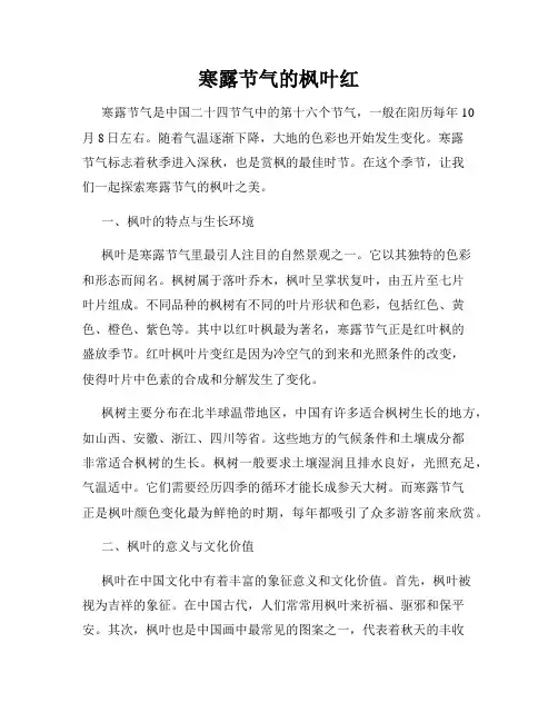 寒露节气的枫叶红