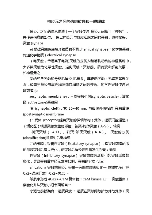 神经元之间的信息传递和一般规律