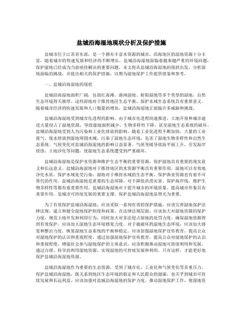 盐城沿海湿地现状分析及保护措施