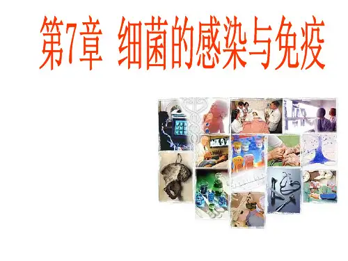 临床微生物与检验 第7章 细菌的感染与免疫