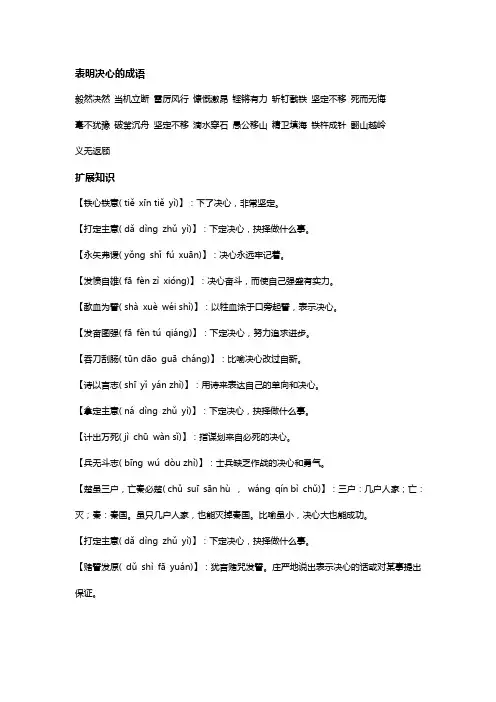 表明决心的成语