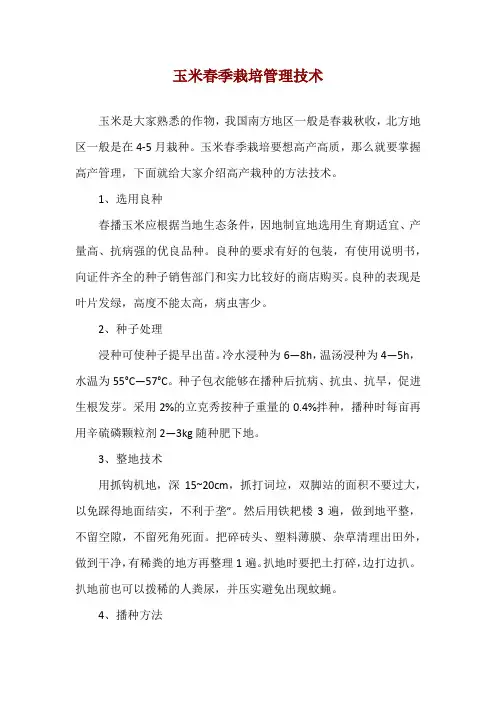 玉米春季栽培管理技术