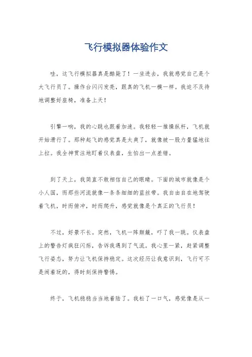 飞行模拟器体验作文