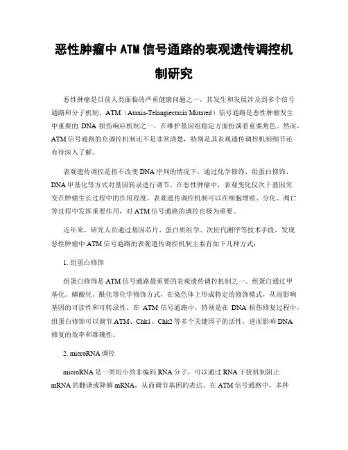 恶性肿瘤中ATM信号通路的表观遗传调控机制研究