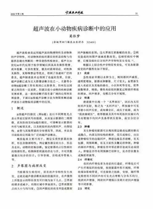 超声波在小动物疾病诊断中的应用
