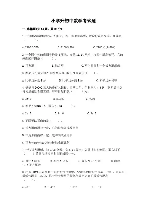 小学升初中数学考试题(各地真题)