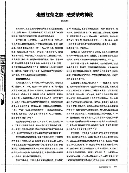 走进红茶之都感受茶的神秘