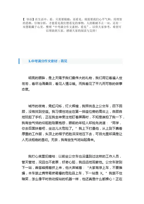 中考满分作文素材：看见