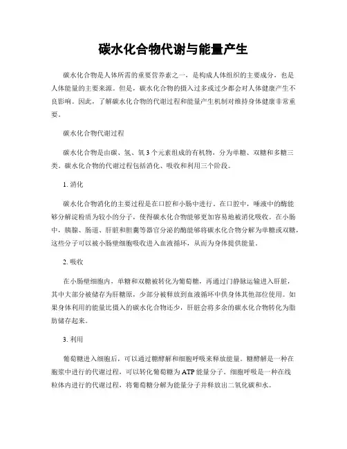 碳水化合物代谢与能量产生
