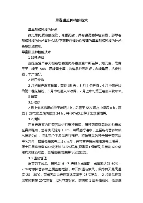 早春甜瓜种植的技术