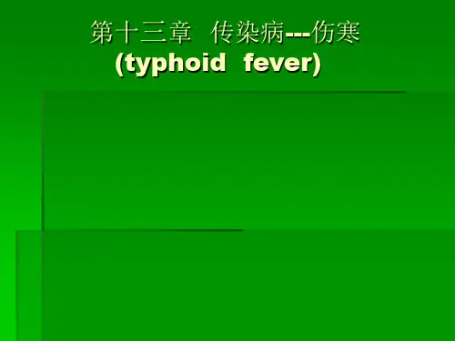 病理学PPT课件成教第13章、传染病---伤寒
