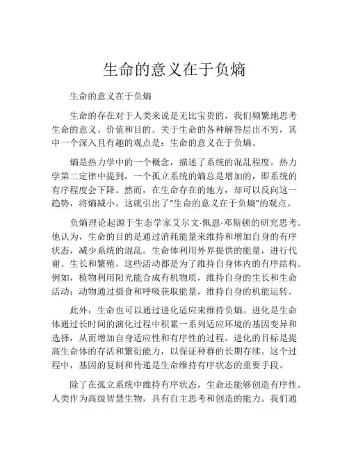 生命的意义在于负熵