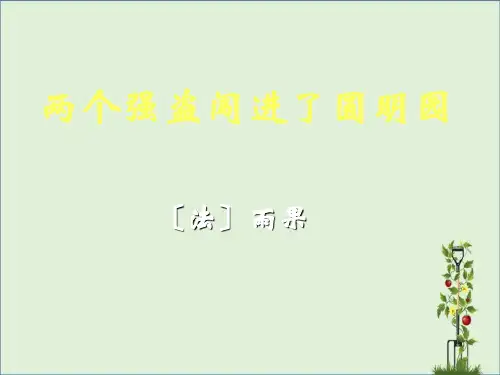 两个强盗闯进了圆明园
