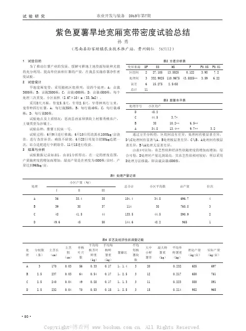 紫色夏薯旱地宽厢宽带密度试验总结   