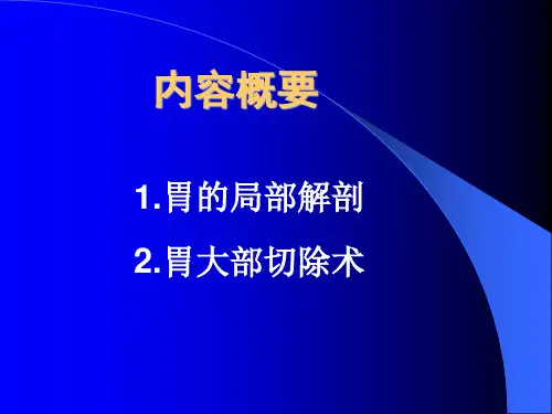 胃、胃大部切除术精品课程