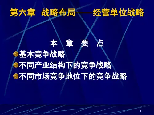 战略布局业务层战略ppt课件