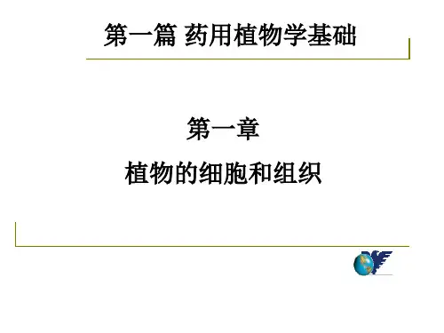 药用植物学与生药学 02-03细胞和组织