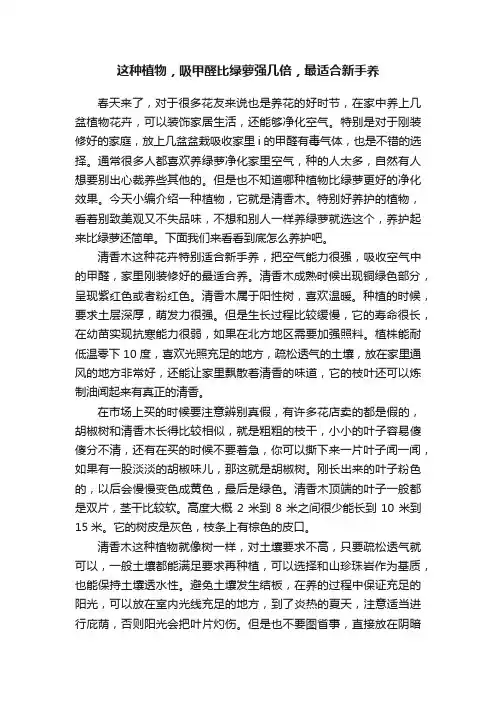 这种植物，吸甲醛比绿萝强几倍，最适合新手养