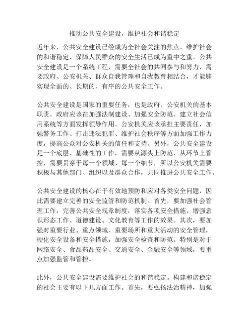 推动公共安全建设,维护社会和谐稳定