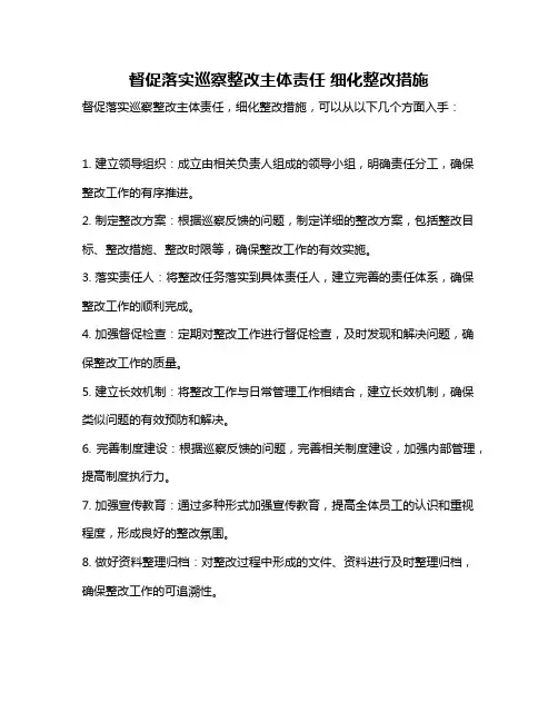 督促落实巡察整改主体责任 细化整改措施