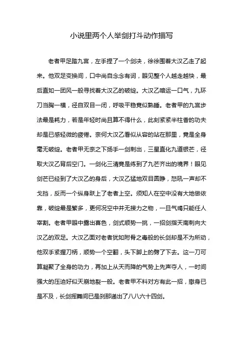 小说里两个人举剑打斗动作描写